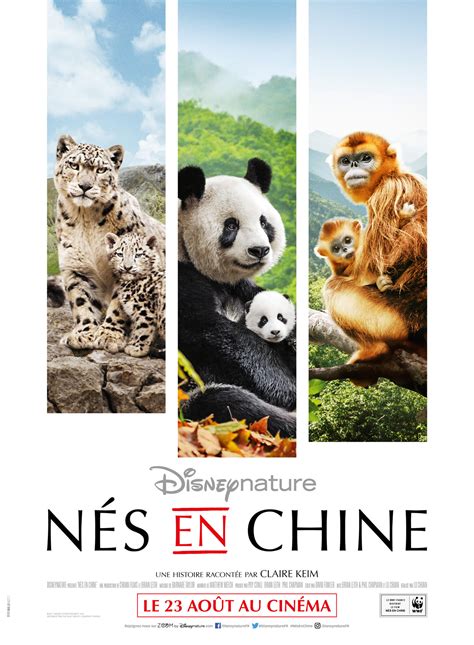 nés en chine canal
